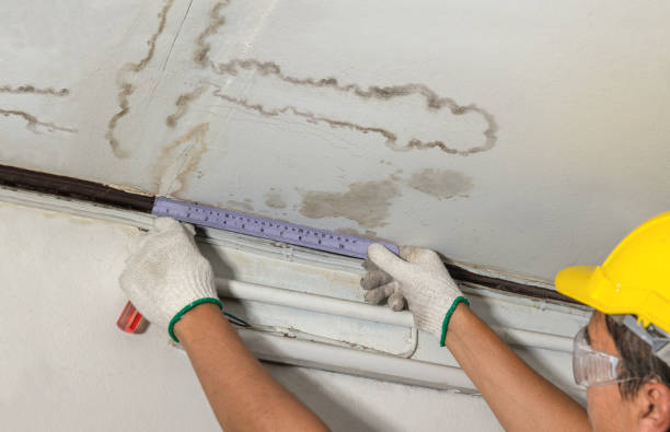 Reliable Water Damage contractor in Spring Hill, FL by Water Damage Irwin